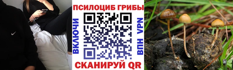 магазин продажи наркотиков  Ладушкин  hydra ТОР  даркнет Telegram  Псилоцибиновые грибы MAGIC MUSHROOMS 