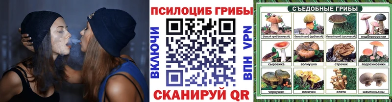 Галлюциногенные грибы MAGIC MUSHROOMS Ладушкин